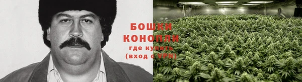прущая мука Куйбышев