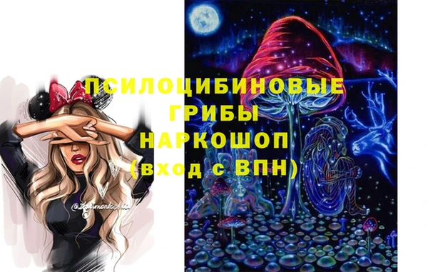 apvp Лиски
