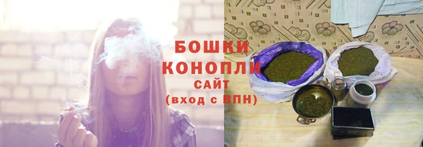 тгк Кукмор