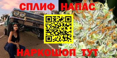 трава Кингисепп