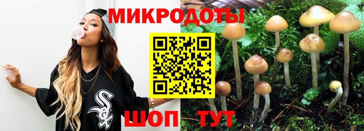 Лесосибирск  Псилоцибиновые грибы Cubensis  Вход с VPN 
